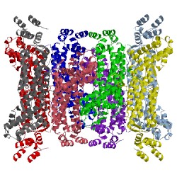 Image of CATH 4mx2