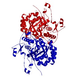 Image of CATH 4mya