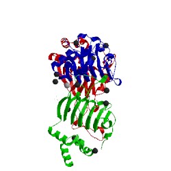 Image of CATH 4myo