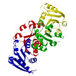 Image of CATH 4myr