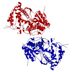 Image of CATH 4n9z