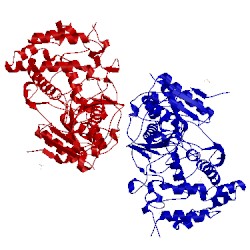 Image of CATH 4na6