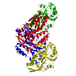 Image of CATH 4nap