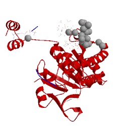 Image of CATH 4ndp