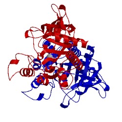 Image of CATH 4nfr