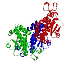 Image of CATH 4nfz