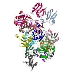 Image of CATH 4nj6