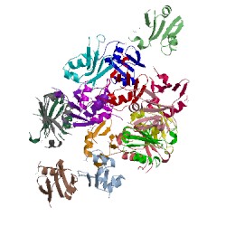 Image of CATH 4nj7