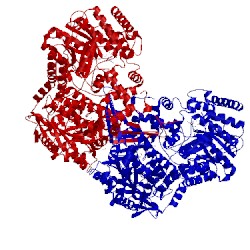 Image of CATH 4nme