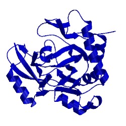 Image of CATH 4nmi