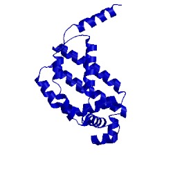 Image of CATH 4nn1