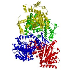 Image of CATH 4npa