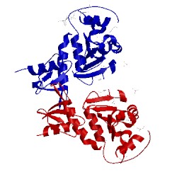 Image of CATH 4npb