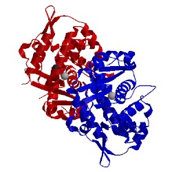 Image of CATH 4nwi