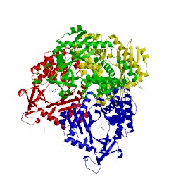 Image of CATH 4nxv