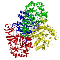 Image of CATH 4nyy