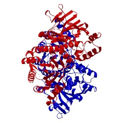 Image of CATH 4o1b