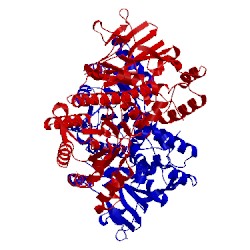 Image of CATH 4o1c