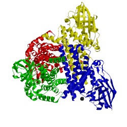 Image of CATH 4o5m