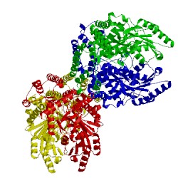 Image of CATH 4obv