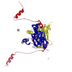 Image of CATH 4ocl