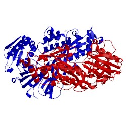 Image of CATH 4oet