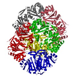 Image of CATH 4ofw