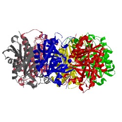 Image of CATH 4ogl