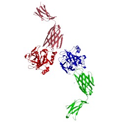 Image of CATH 4ogy