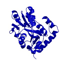 Image of CATH 4ohn