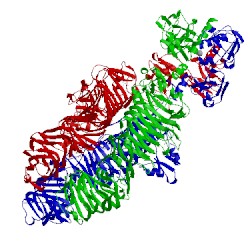 Image of CATH 4oj6