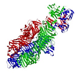 Image of CATH 4ojl