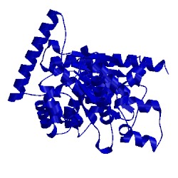 Image of CATH 4ojm