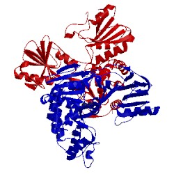 Image of CATH 4oks