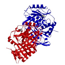 Image of CATH 4on1