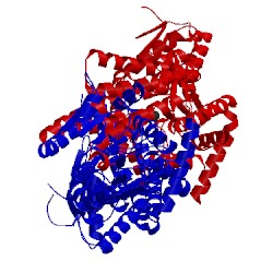 Image of CATH 4on9