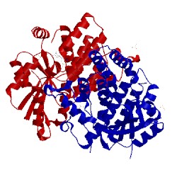 Image of CATH 4oqx