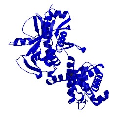 Image of CATH 4owd