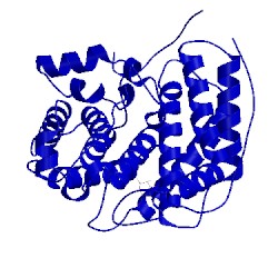 Image of CATH 4ozv