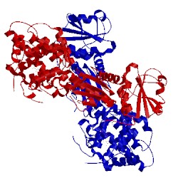 Image of CATH 4p2l