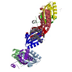 Image of CATH 4p2s