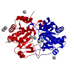 Image of CATH 4p6p