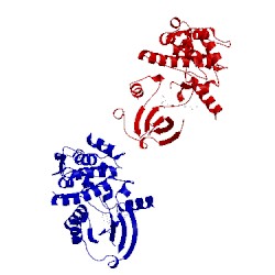 Image of CATH 4p90