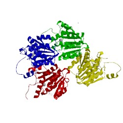 Image of CATH 4pca