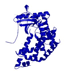 Image of CATH 4pdy