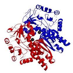 Image of CATH 4pf8