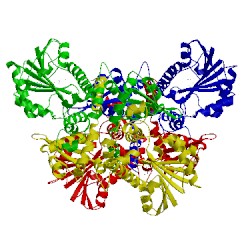 Image of CATH 4pgh