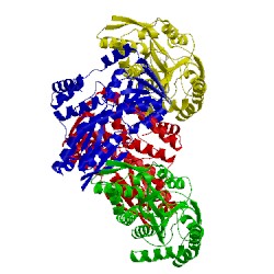 Image of CATH 4pgp