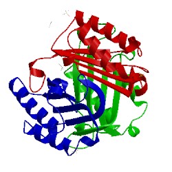 Image of CATH 4pkz