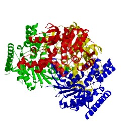 Image of CATH 4plw